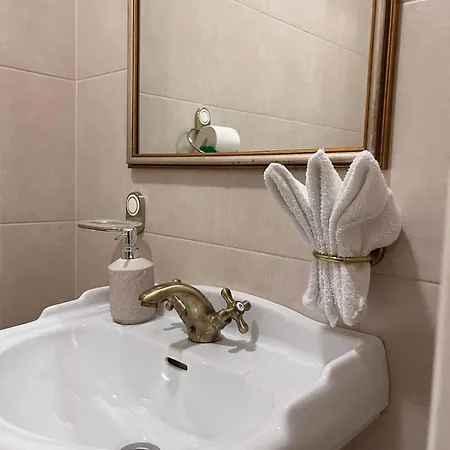 Elegant 5 Bedr With Sauna In The Centre, Near Viru And Old Town, With Private Parking Apartment